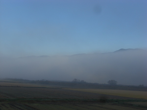 74c8f823.jpg