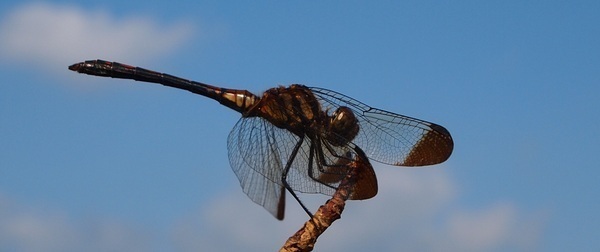 c10248e2.jpg