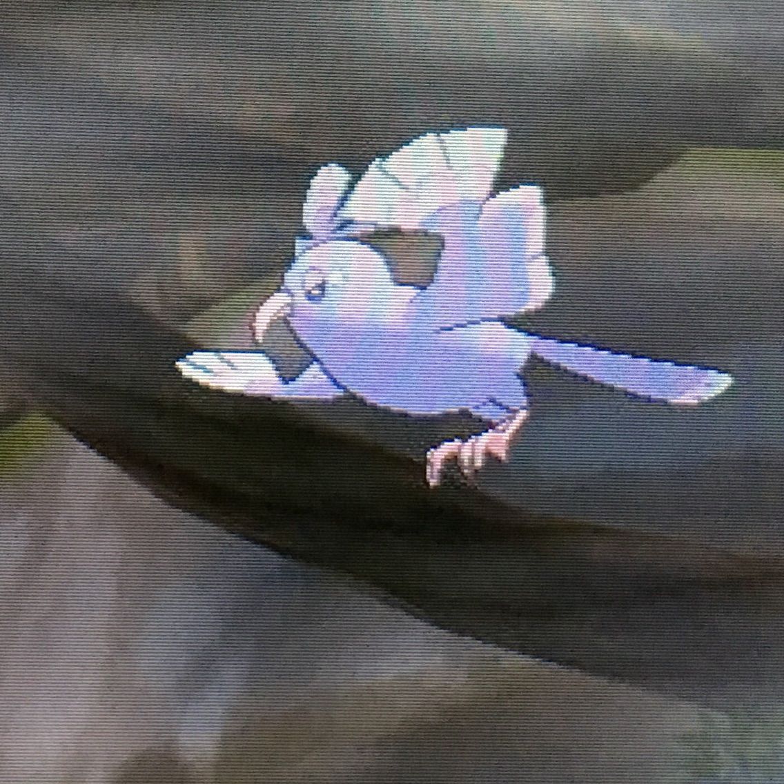 ポケファインダー はむちゃんの日記 ポケファインダー はむちゃんの日記