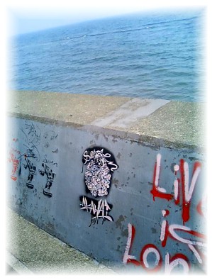 ���դΥ�����