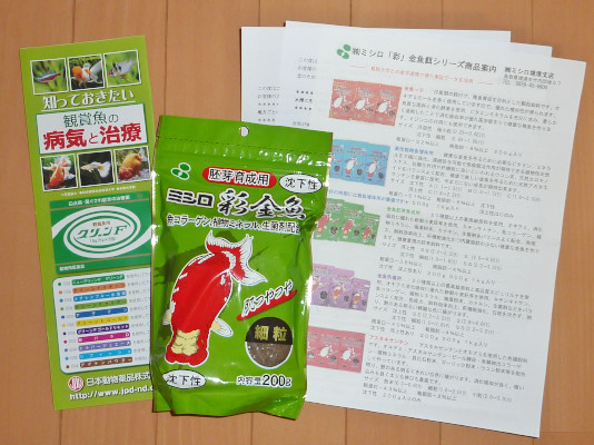 らんちゅう の餌を選ぶ ハムオのパキポディウム実生日記