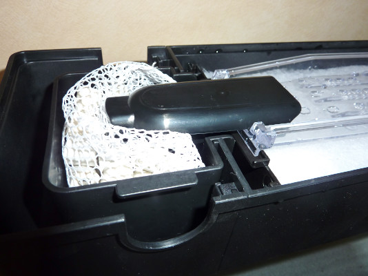 稚魚たちを４５ｃｍロータイプ水槽へ移動 ハムオの金魚 パキポ日記