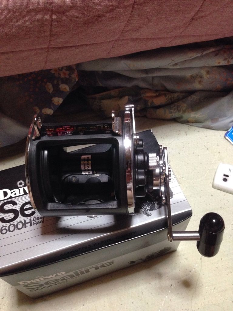 ダイワ シーライン 600 ②