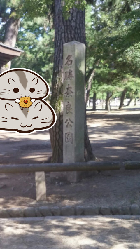 奈良公園