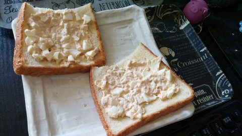 つなたまごとーすと