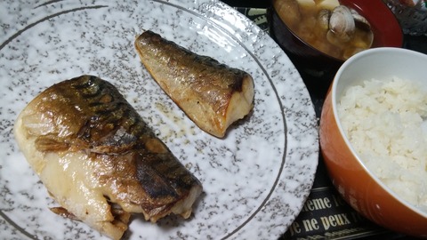 さばていしょく