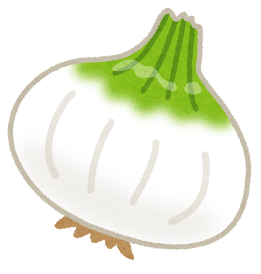 vegetable_shintamanegi