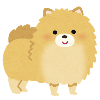 dog_pomeranian