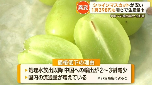 budou3