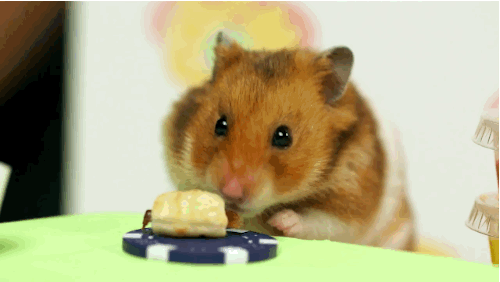 ham2
