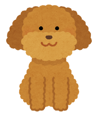 dog_toypoodle_brown