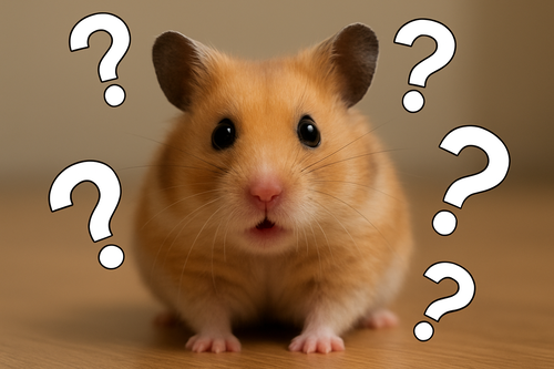 女子大生と『ふれあいゲーム・模擬デート・性の学習』ができるボランティア交流が存在している現実ｗｗｗｗｗｗｗｗｗｗｗ