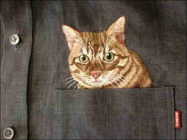 cat10