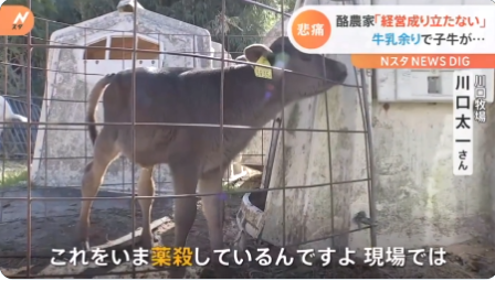 牛2
