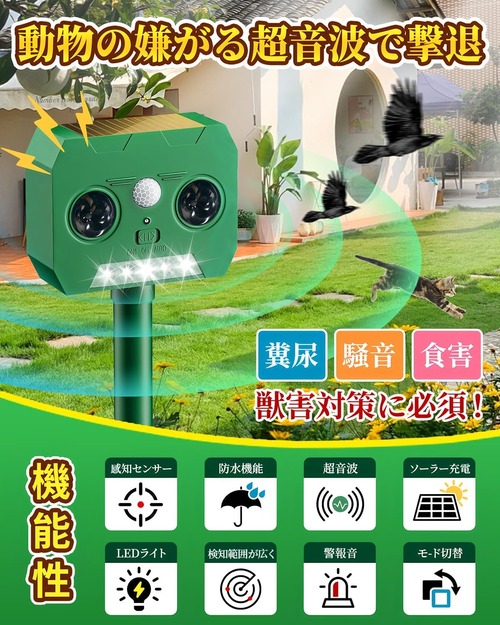 81wE+H-ChPL._AC_SL1500_