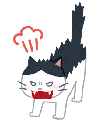 cat_angry