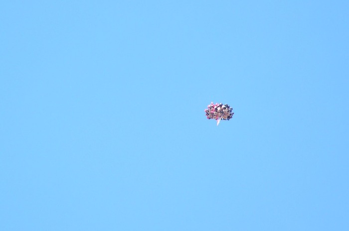 mi2
