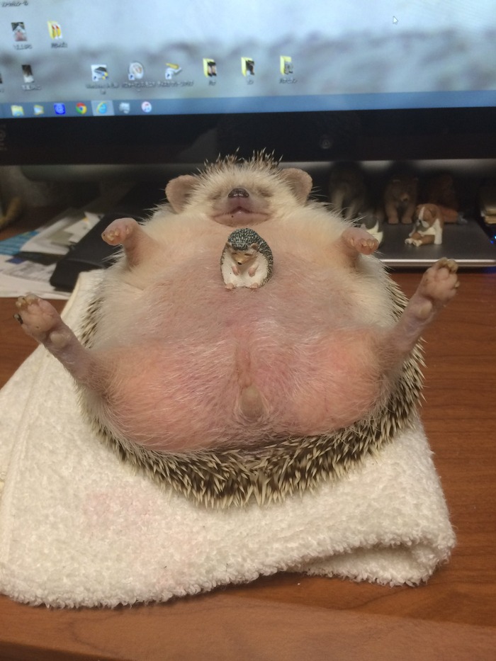 EyM1Kn4VEAUV00J