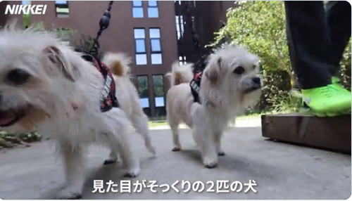 中国企業「亡くなった愛犬や愛猫とクローンで再会できます！料金７００万円！」←これは許されるのか？