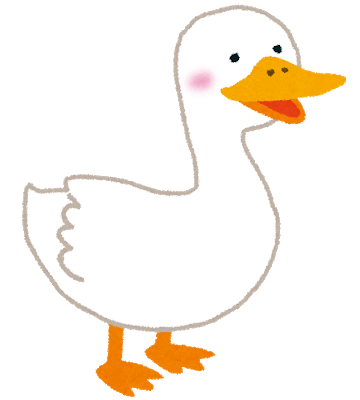 animal_duck