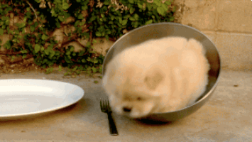 anigif_enhanced-buzz-24370-1375801813-9