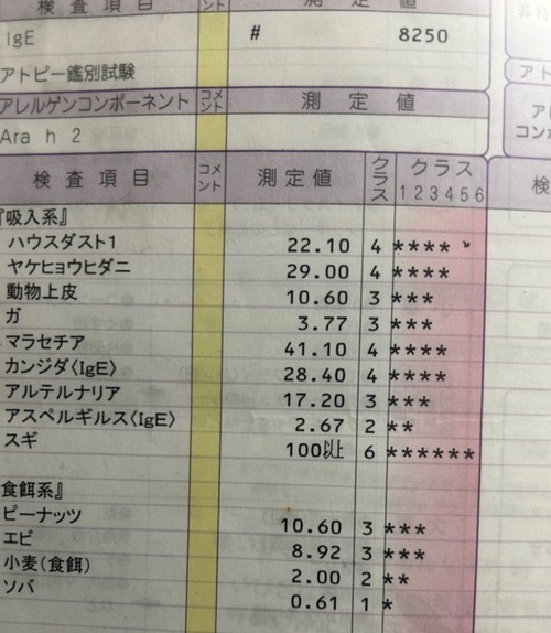 pEF04IA - Imgur