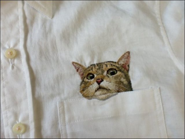 cat00