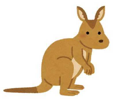 animal_wallaby_kangaroo