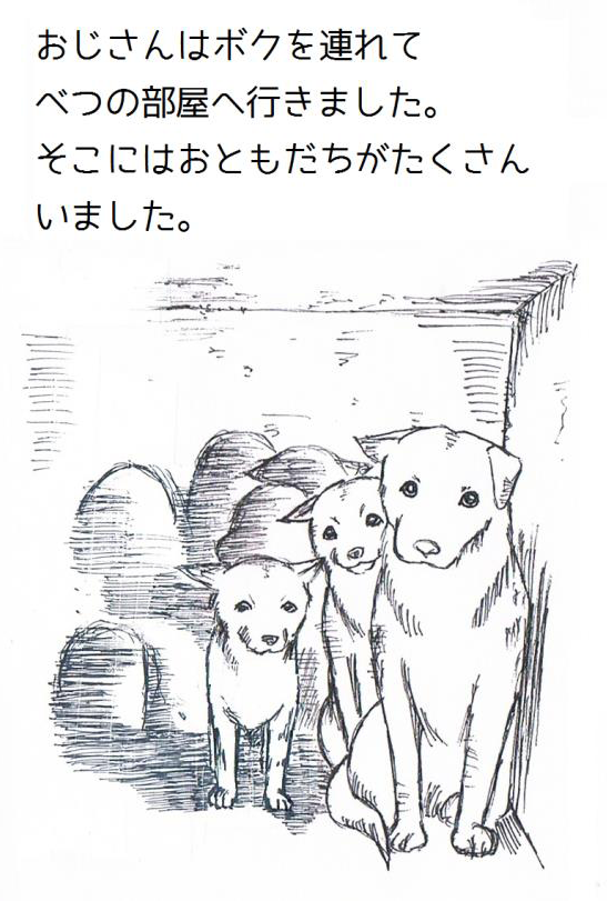 15D891DA-6E2E-11E4-813F-8237CD288735_l