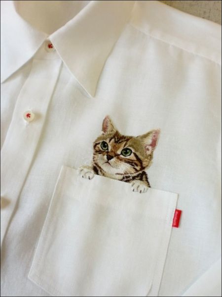 cat01