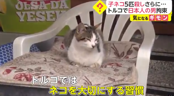 トルコ1