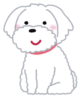 dog_maltese