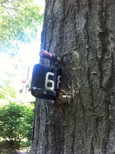 an32