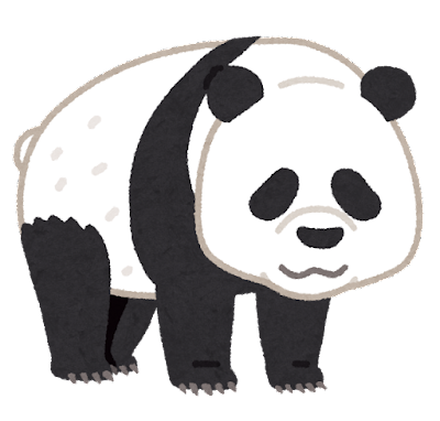 animal_bear_panda