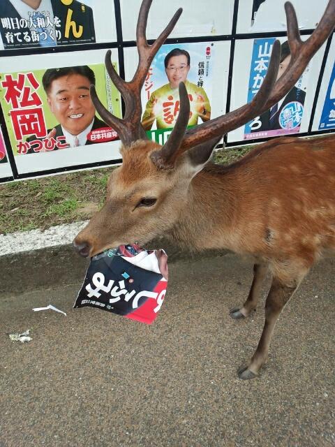 sika