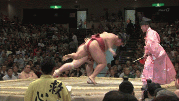 sumou2