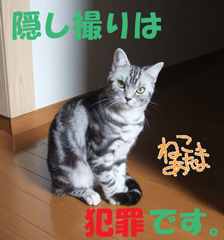 m_E79B97E692AEE58F8DE5AFBE[1]