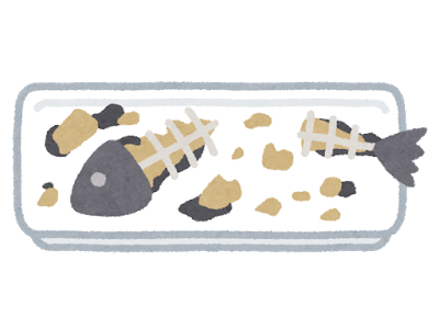 syokuji_sakana_kitanai