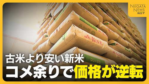 新米価格５割安で流通開始　古米より安くなる新米　米卸業者「去年の古米どうすんの？まだ倉庫に大量にあるんだけど？」