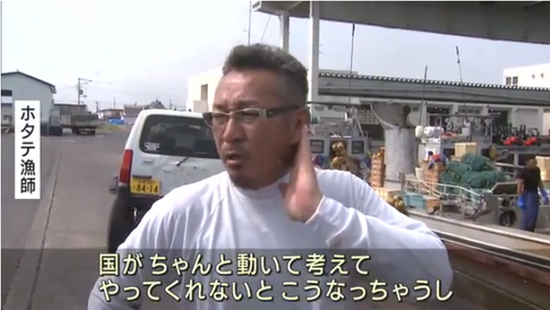 ほたて1
