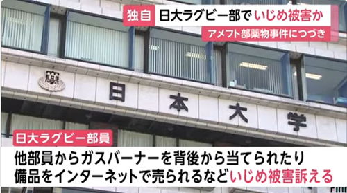 nitidai2