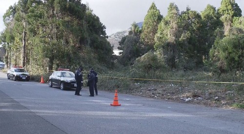 【滋賀】２２歳無職のシリア人　岐阜県の教育施設職員の女性の首を絞めて殺し雑木林に捨てる