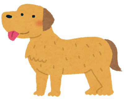 dog_golden_retriever