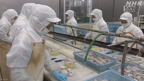 【移民政策】北海道、宮城県、三重県、大阪府、愛媛県、大分県などの２０道府県が海外政府と直接『移民受け入れ』の覚書を結ぶ動きが広がる