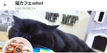 猫カフェのキッチンが大変な事になってるｗｗｗｗｗｗｗｗｗｗ