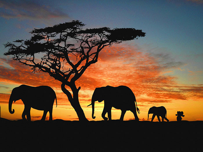 lost-toy-elephant-travels-around-world-photoshop-battle-8