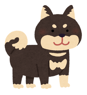 dog_shibainu_black