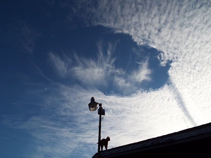 fallstreakclouds8