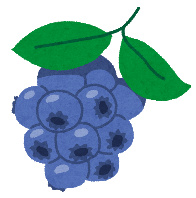 fruit_blueberry