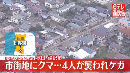 秋田県がクマに占領される…秋田県知事は自衛隊派遣を要請する為に防衛省へ